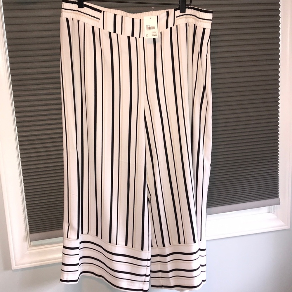 Cato striped dress pants